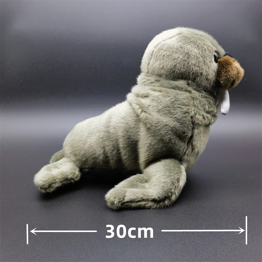 FRANKIEZHOU Lifelike Walrus Plushies-Grey 11\" Marine Life...