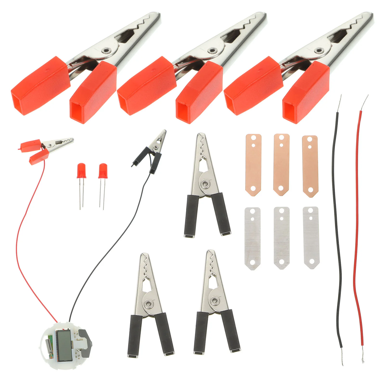 

1 Set Fruit Science Experiment DIY Fruit Batteries for Student