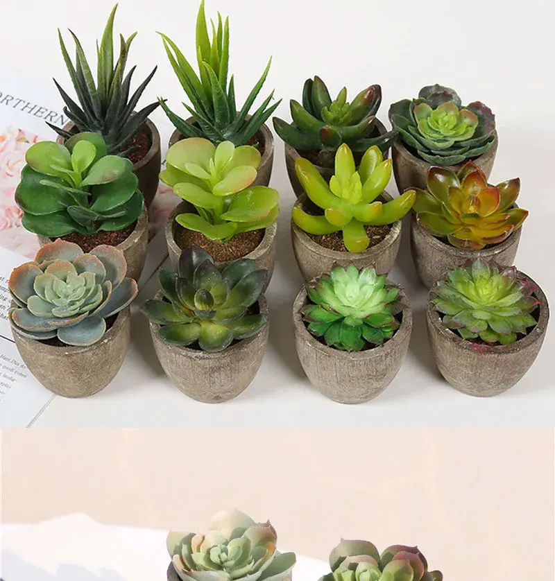 Mini Artificial Succulent Plants - Small Evergreen Pot Decor for Home and Office