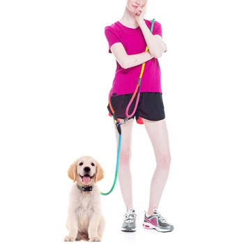 Nylon Hands-Free Dog Running Leash 1