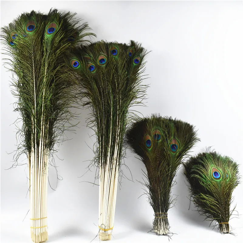 Hướng dẫn how to decorate peacock feathers at home bằng những cách độc