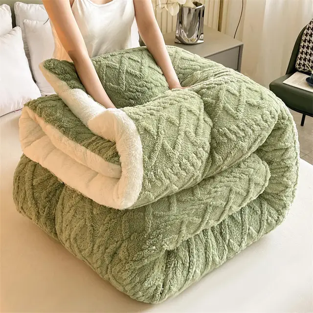 Hot Sale Thick Lamb Wool Duvet Core - Velvet Quilted Winter Comforter -  Edredones Quilt - 6kg Queen Size - AliExpress