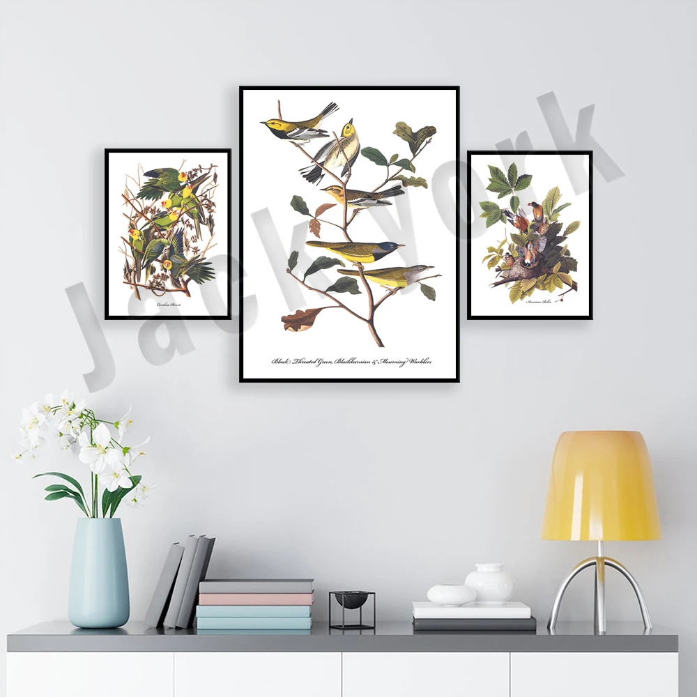 

Woodpecker, Carolina Parrot, Perching Warbler, Goose Thrush, Robin's Nest, 1850s Audubon Bird Poster, Birds, Woodpecker