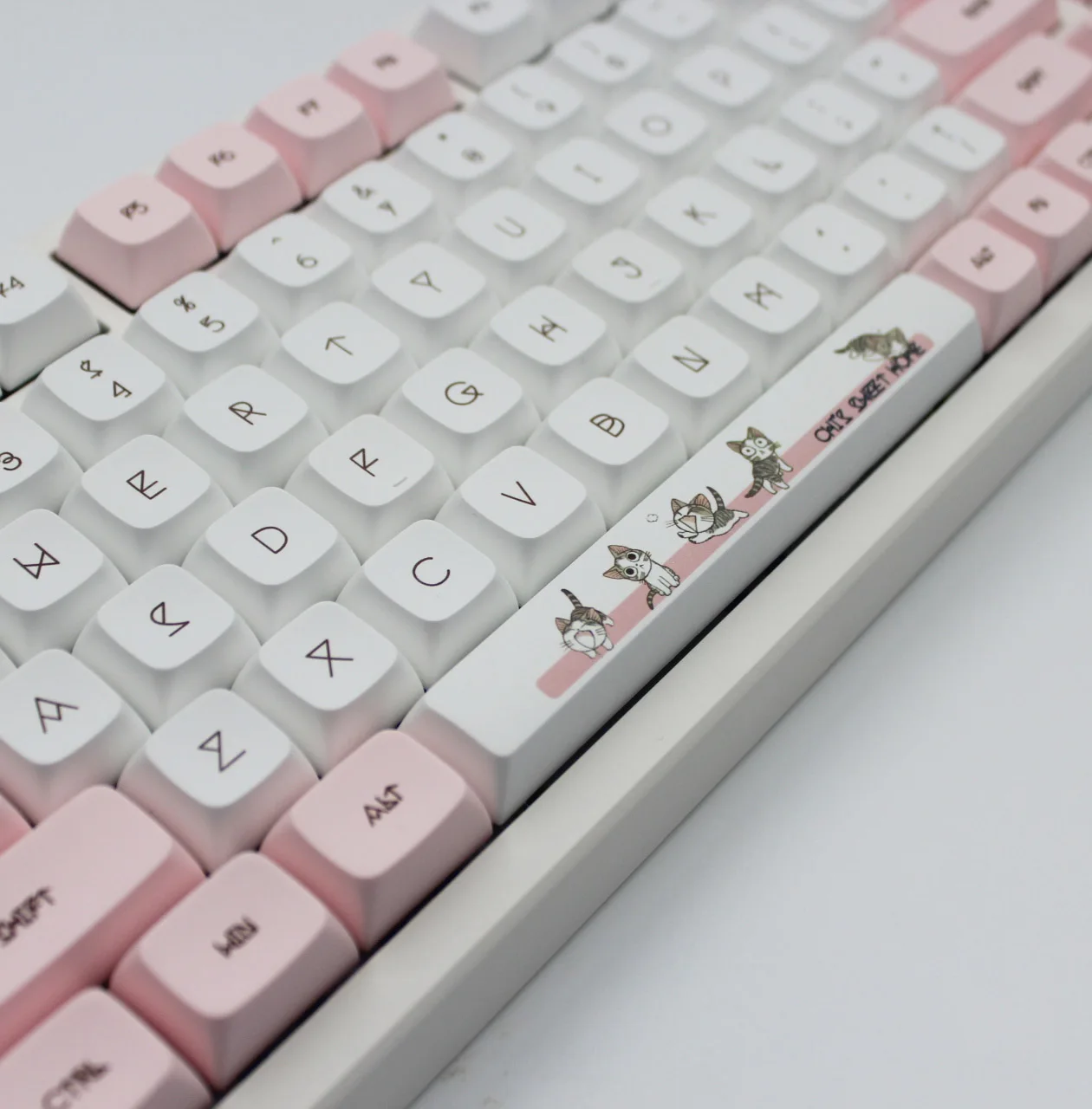 teclados e mouses