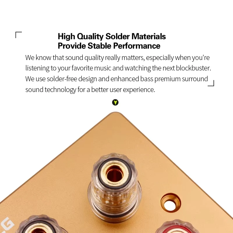 Premium Gold Binding Posts Wall Plate for Audio Speakers - No Soldering Required