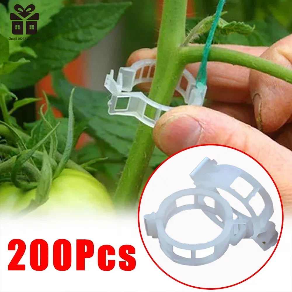 150/50Pcs Plastic Plant Support Clips Reusable Plant Vine Protection Grafting Fixing Tool for Vegetable Tomato Garden Supplies