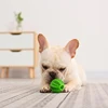Natural Rubber Pet Dog Chew Toys Tooth Cleaning Treat Ball Interactive Elasticity Ball Puppy Teething Chew Clean Toy Balls 6