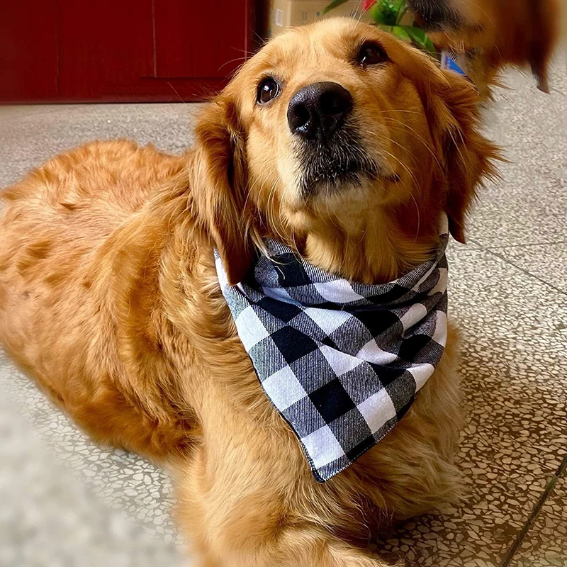 Plaid Pet Bandana Scarf 2
