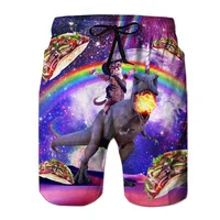 Funny Dinosaur Cat Graphics Beach Shorts Men 3D Print Animal Surfing Board Shorts Summer Hawaiian Swim Trunks Cool Ice Shorts 1