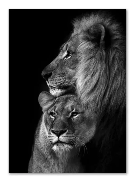 Black and White Animal Family Poster Lion Family Print Canvas Wall Art Modern Painting Picture Decor Bedroom Aesthetic Art 19