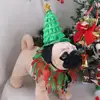 2Pcs Small Dogs Pet Christmas Costume Suit Elf Hat Elastic Strap Cat Tutu Collar and Hat Set Cosplay Gauze 5