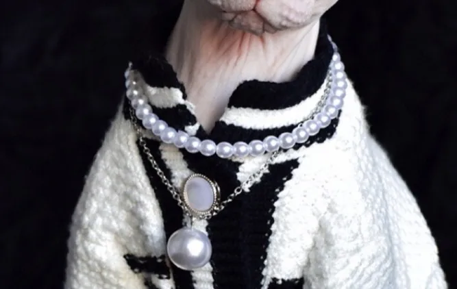 S13e21852e33541aca8104ac0200fa736y