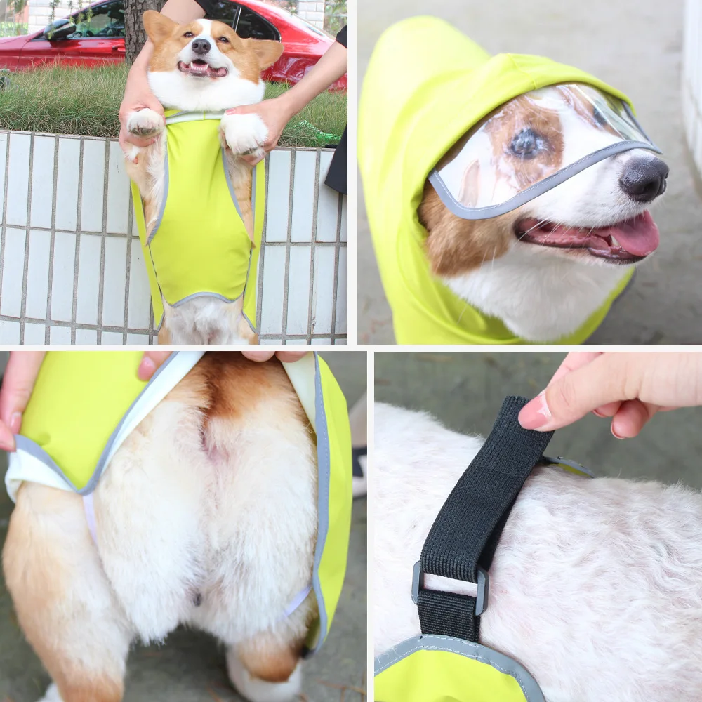 Imperméable pour petit, moyen et grand chien, vêtements pour animaux de compagnie, protège le ventre, All Ssive Corgi, Teddy Law, Everak Rain