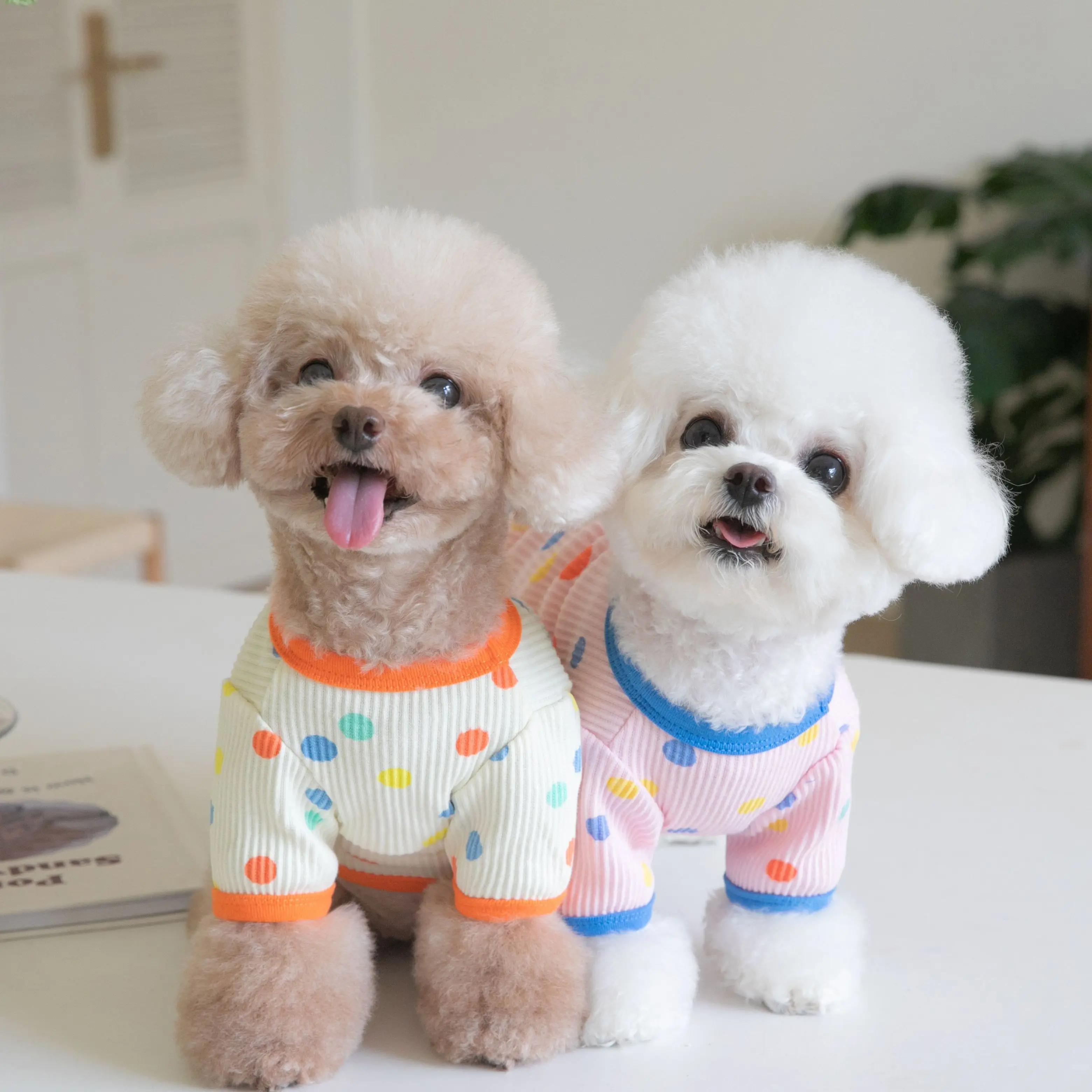 

Super Cute Cotton Pet Clothing, Colorful Dot Print Shirt, Dog Clothes, Cat Clothes, Preppy Pet Clothes