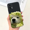 Case-c31