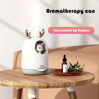 300ML Cute Humidifier Mini Aromatherapy Humidifiers Diffusers Essential Oil Diffuser Home Car Air Purifier Baby Sterilizer 2