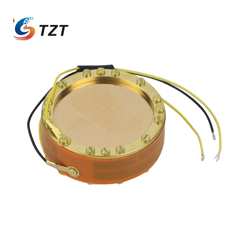 Dupla Face Grande Diafragma Condensador Mic Cápsula Hifi Áudio Microfone Cápsula para Gravação Tzt-rk12