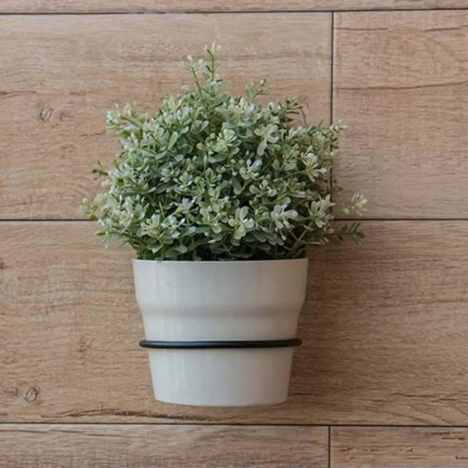 Aimeke 5 Pezzi Staffa Anello Vaso di Fiori Anelli Portavasi da Parete in Metallo