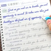 Calligraphy Practice Book Cursive Writing English Pen Chinese Calligraphy for Adult Children Exercises Copybook 1