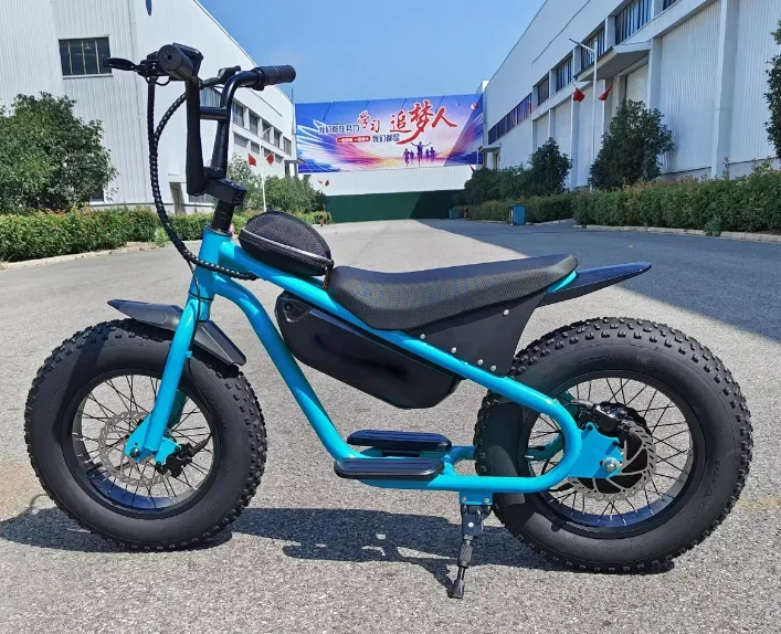 S16 kids' scooters 16 inch fat tire 500w 48V13AH hub motor mini bike carbon steel high load capacity kids' bikes