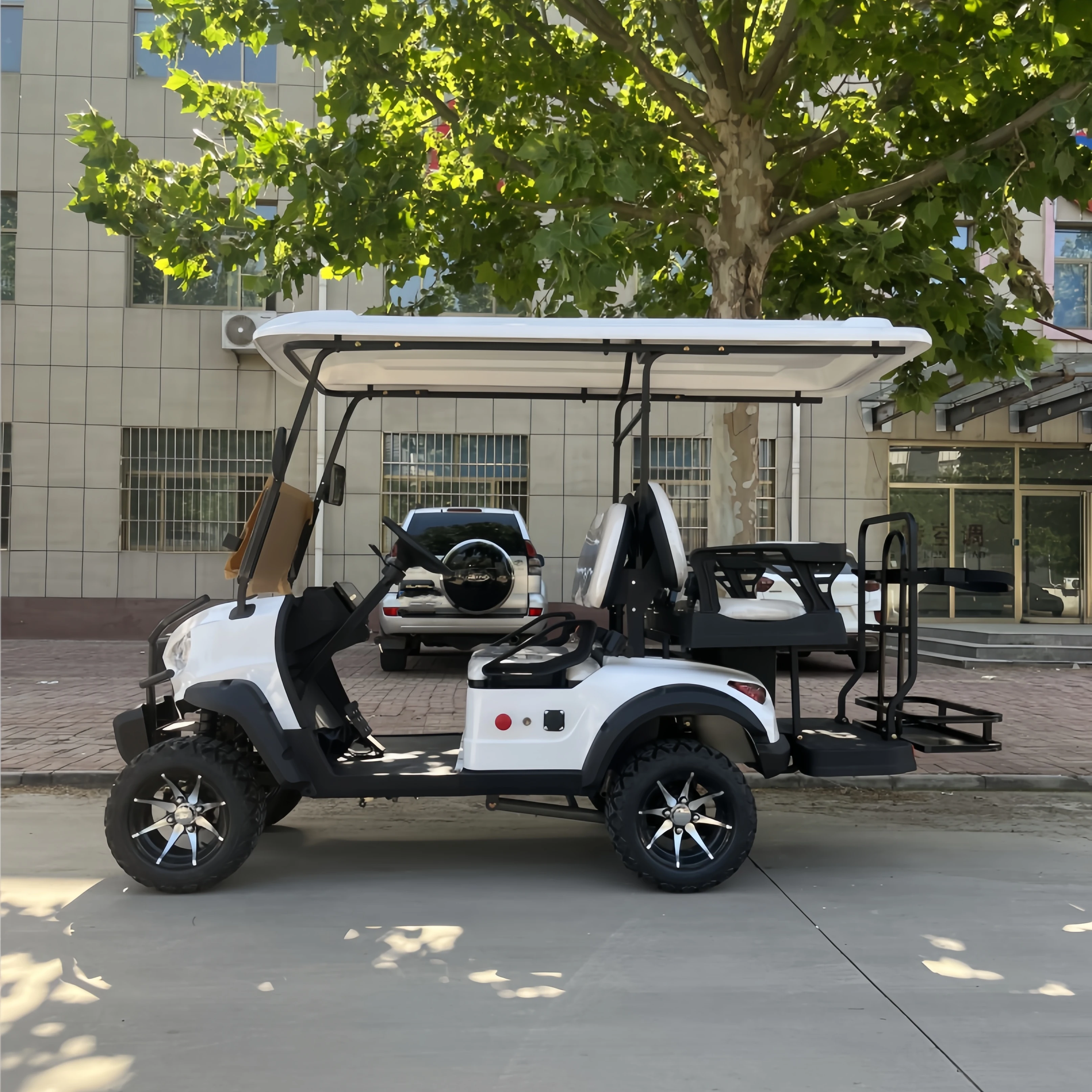 Affordable club 2 seater chinese electric golf cart car for sale 48V lithium comfortable 2 seats electric golf carts