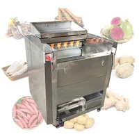 Root Vegetable carrot potato Fruit Ginger Potato Roller Peeler Washing Peeling Cleaning Machine 1