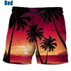 Coconut Tree Hawaiian Beach Shorts 3D Printing Summer Men's Casual Swimming Shorts High Elastic Quick Dry Swim Trunks 6