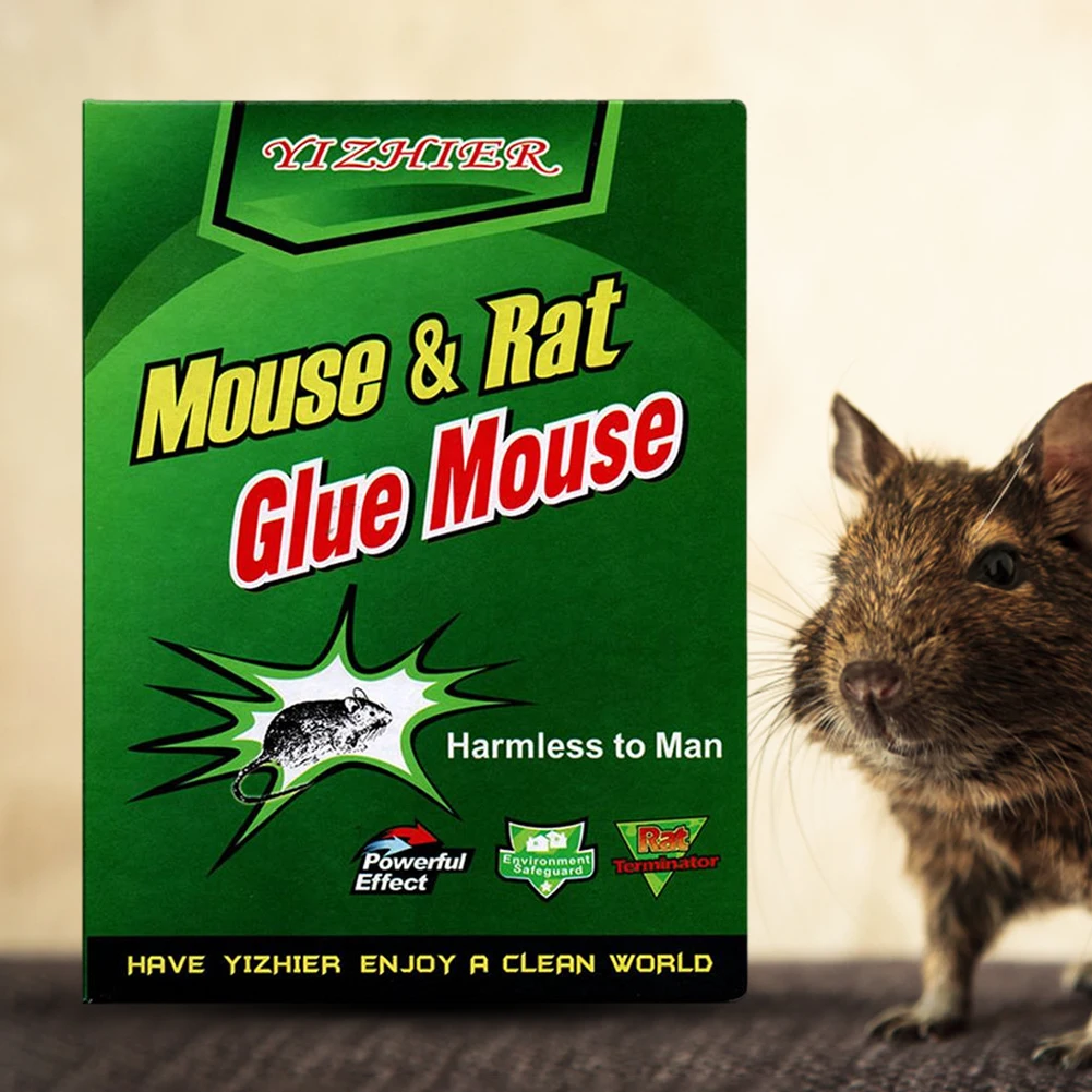 Rat glue