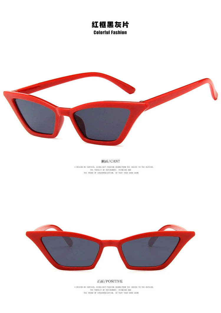 2018-New-Female-Vintage-Cat-Eye-Sunglasses-Women-Brand-Designer-Fashion-Retro-Small-Steampunk-Sun (13)