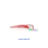 Dental RCT Endo Training Teeth Model 3D Curved Root Resin 12 Size 1:1 Endodontic Education Cavity 6