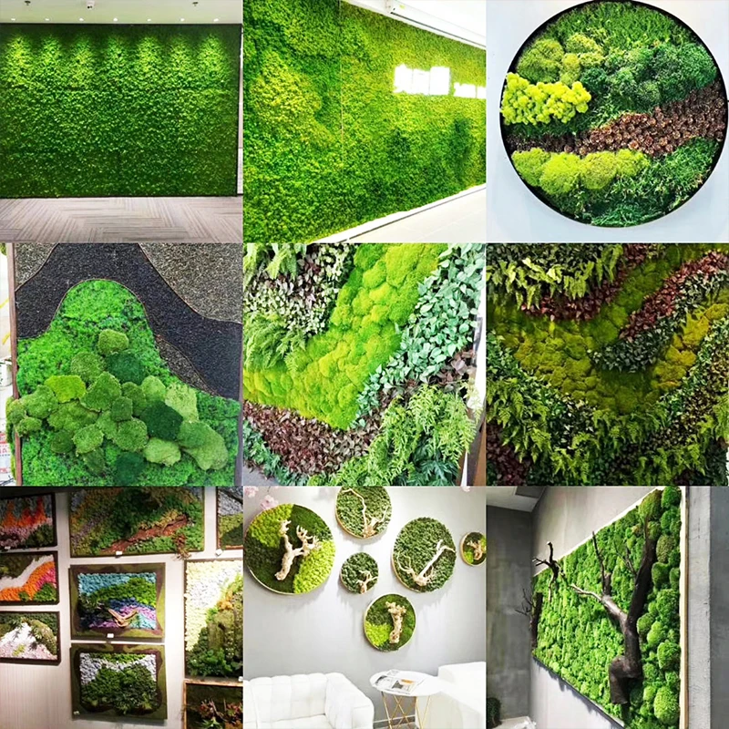 100g Simulation Artificial Moss Green Preserved Moss Grass Fake Plant Home  Wall Garden Decor Micro Landscape Material DIY Crafts - AliExpress