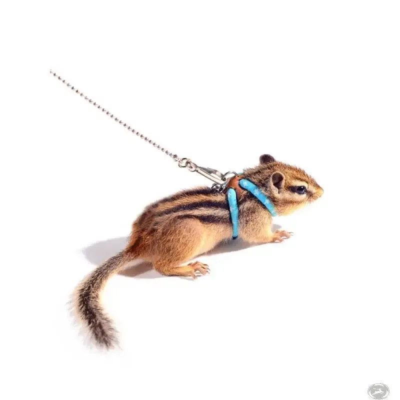 Adjustable Cute Ferret For Rat Squirrel Chinchilla With Bell Nylon Rope Hamster Leash Mouse Vest Walking Lead Pet Supplies