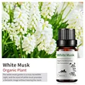 White Musk