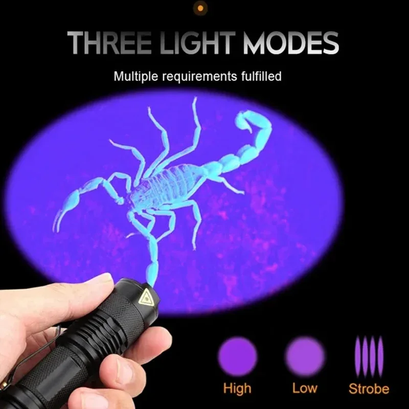 Comprar Linterna UV LED de 365nm y 395nm, linterna ultravioleta con enfoque  con zoom, Mini luz UV negra, Detector de manchas de orina de mascotas, caza  de escorpiones