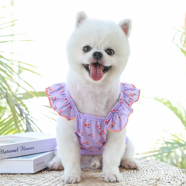 Pet Products Store Store