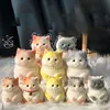 2024 NEW Large Kawaii Chubby Cat Ragdoll Cat Soft Sticky Birthday Kids Girl Cute Squishy gift Fidgeting Mochi Taba Toy Ornament 1