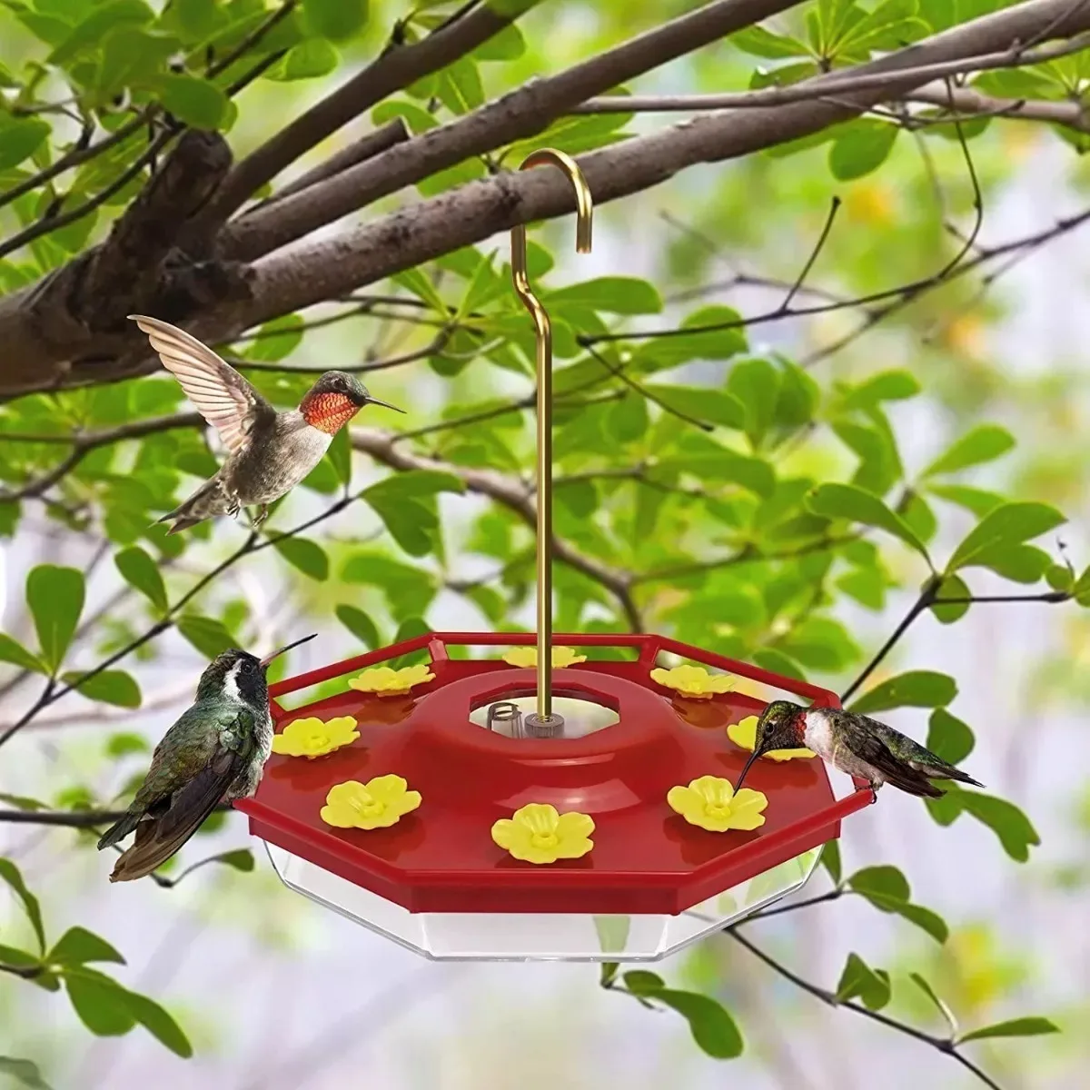 Bird Water Drinker Hummingbird Drinker Yellow Flower Red Bottle