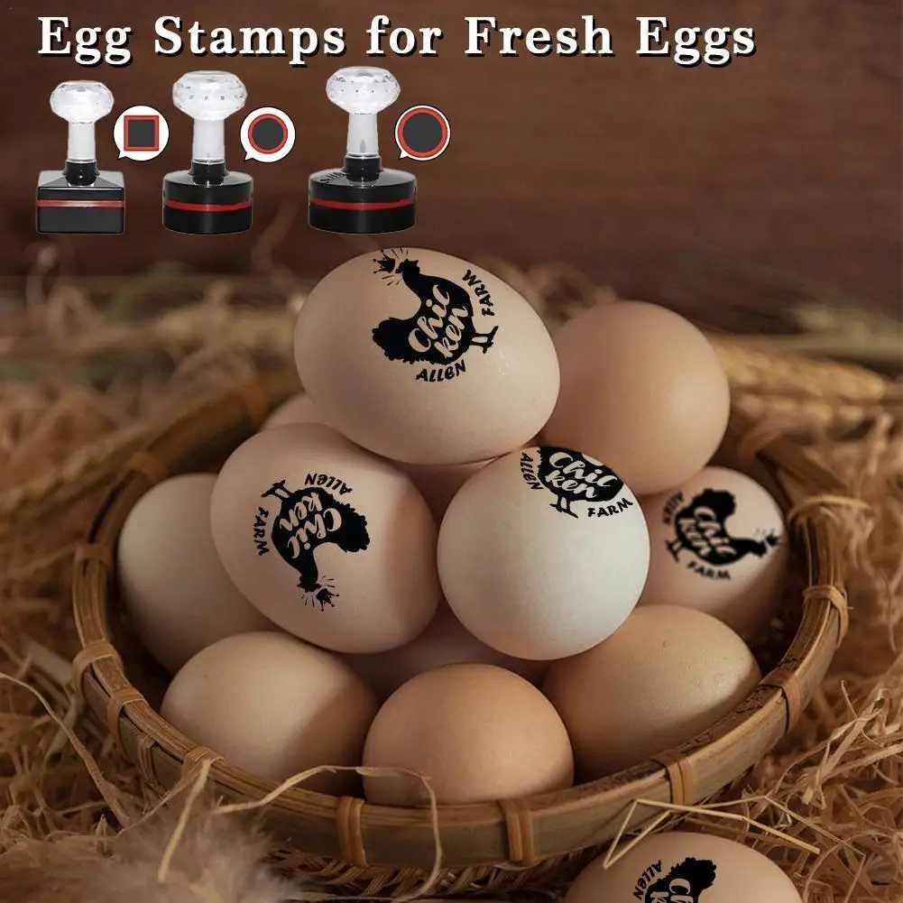 Custom Egg Stamp For Fresh Eggs Seal Farm Mini Egg Stamp Personalized