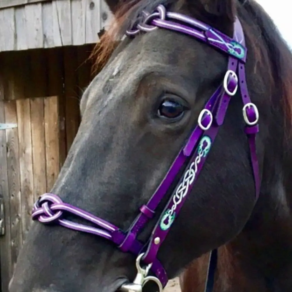 PU Leather Horses Bridle Halters horse riding equipment horse riding halter Metal Buckle Comfortable Horse Head Curtain Adjustable Protecting Horse Skin Rein Harness