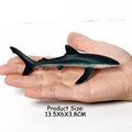 Blue Shark-1