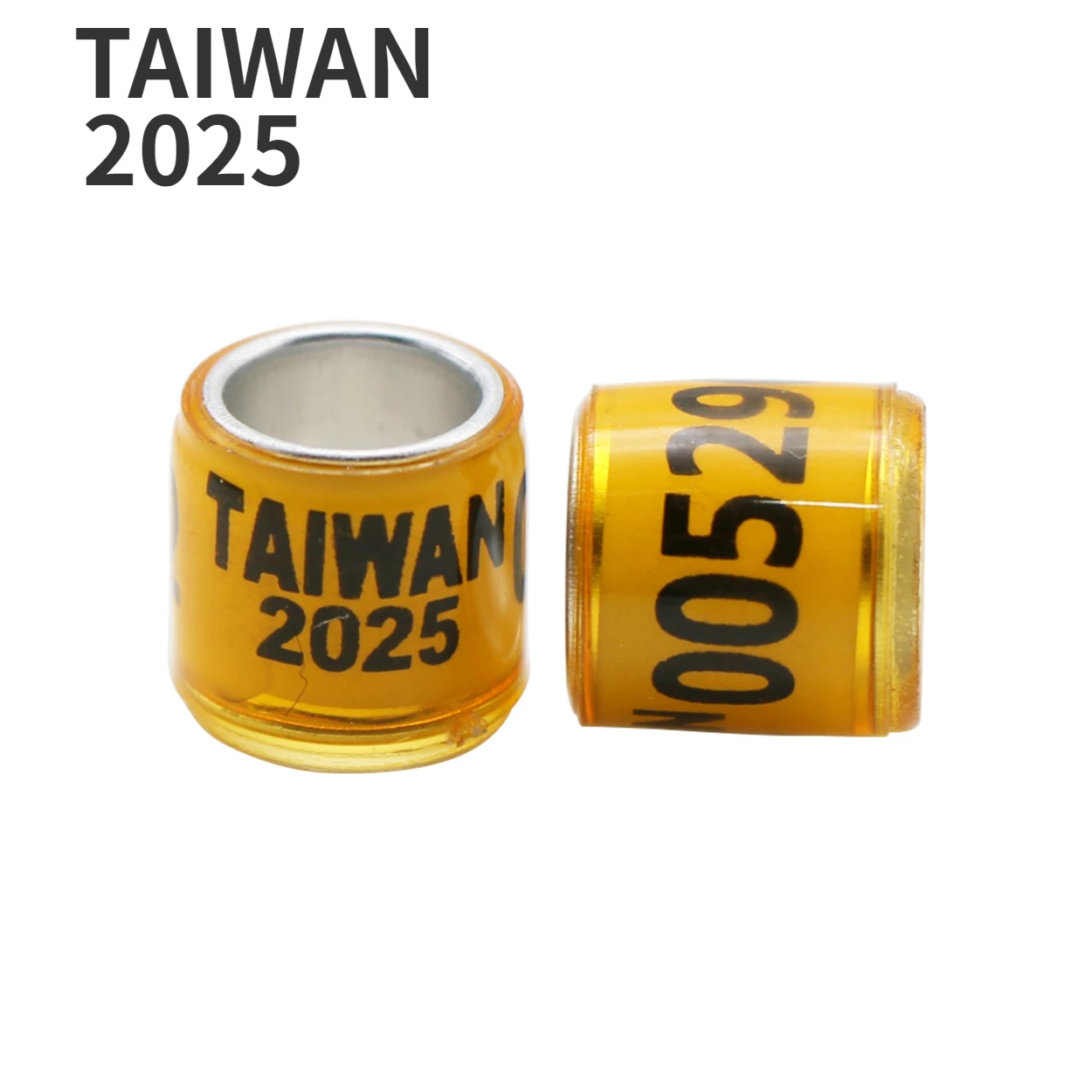 TAIWAN 2025