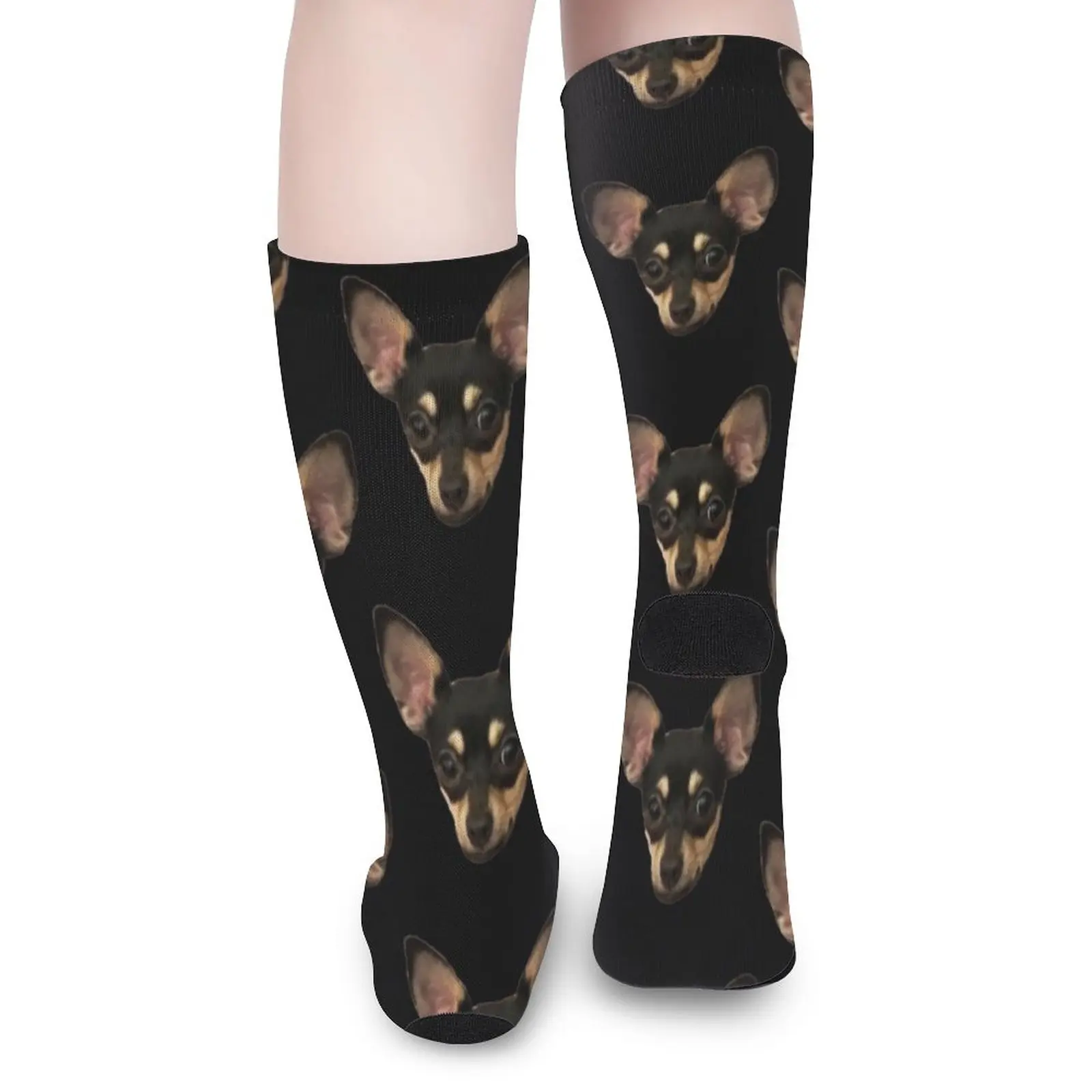 Piper the Chihuahua Face Socks ankle socks funny socks for Women happy socks men
