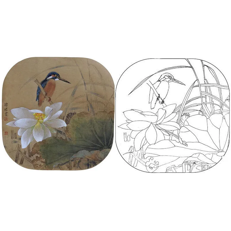 HD Meticolosa linea di pittura disegno manoscritto pittura cinese fiore uccello pratica immagine linea disegno carta da colorare immagine - immagine 5