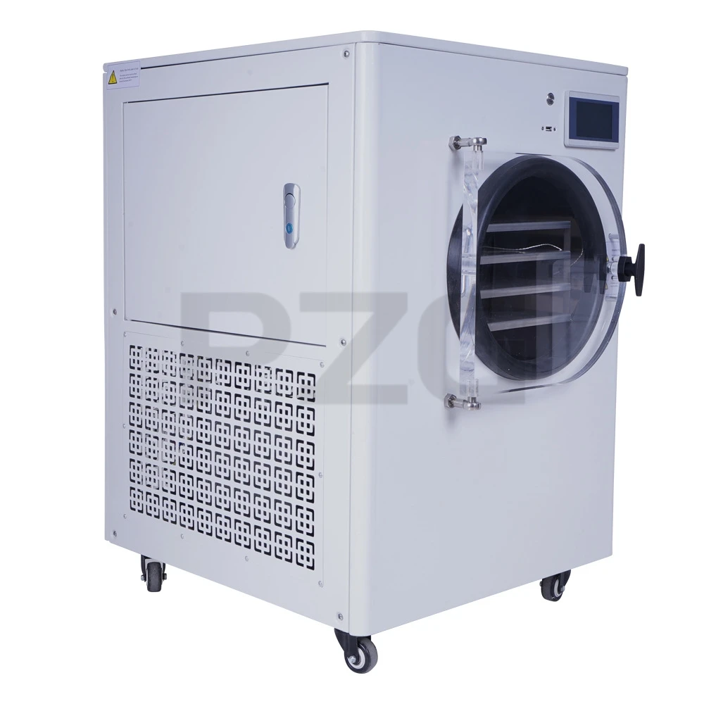 Vacuum Fruit Freeze Drying Dried Machines Mini Vegetables Lyophilizer Food Freezer Dryer 2