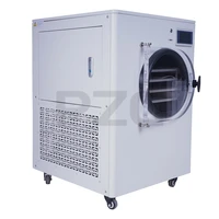 Vacuum Fruit Freeze Drying Dried Machines Mini Vegetables Lyophilizer Food Freezer Dryer 2