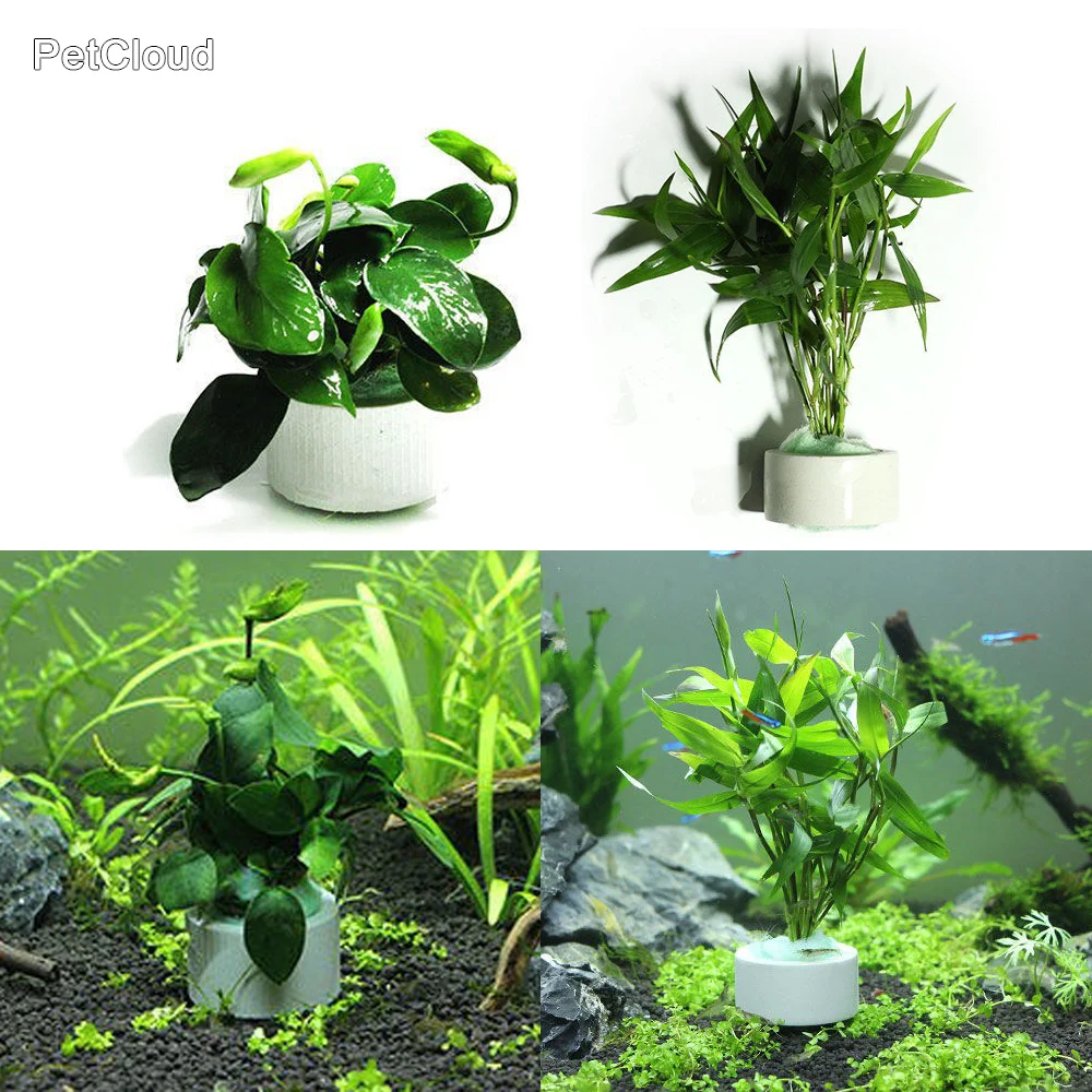 Aquarium Planting Ring For Fish Tank Plant Decoration Ceramic Rings Water Grass Fixed Cup Landscaping DIY Ornamento Supplies