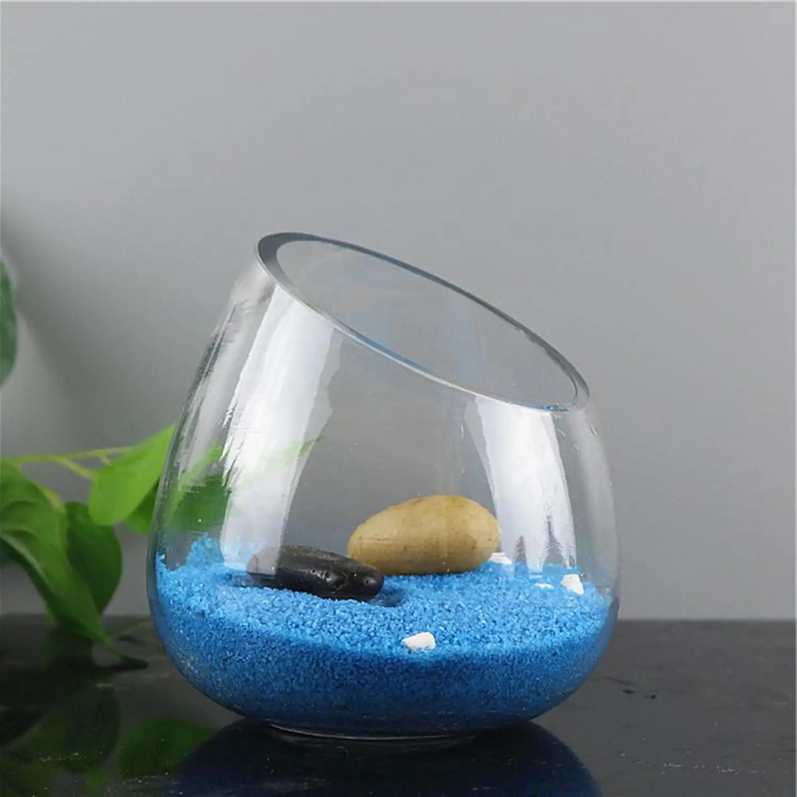 Slant Cut Bowl Glass Vase Plant Vase Micro Landscaping Container Mini Candy Bowl Jar Glass Terrarium Bowl for Decoration