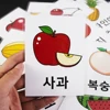 16Pcs Kids Korean Fruit Learning Word Flash Cards Learning toys for Children Cognition Memory Early Educational Montessori games 1