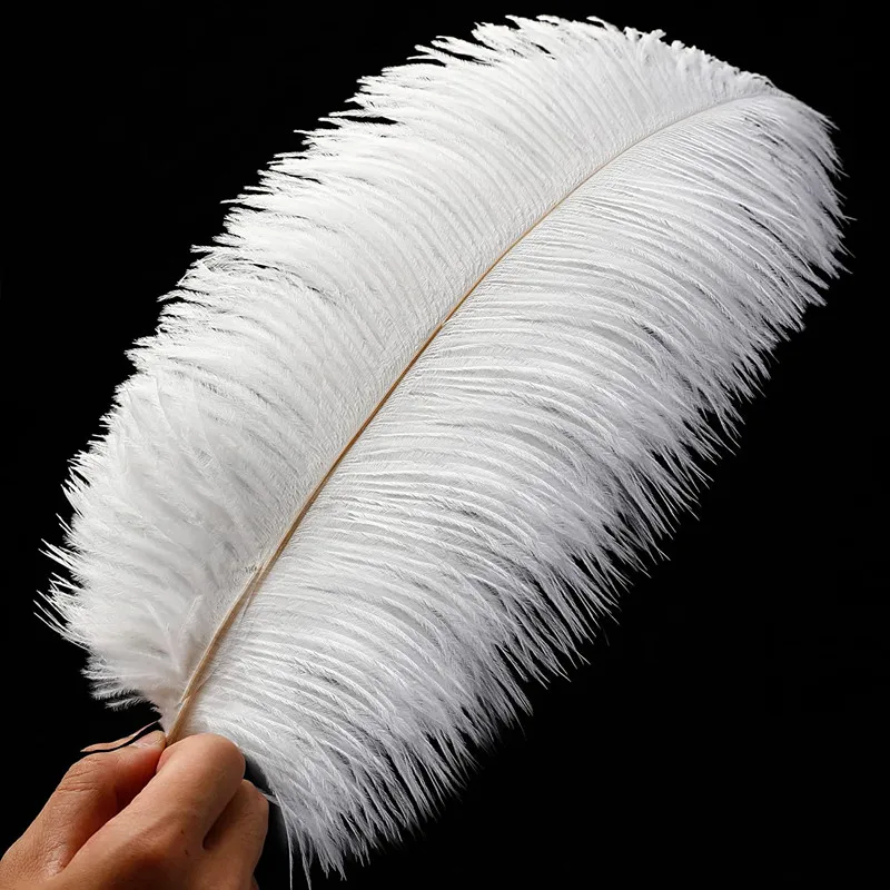 Black Ostrich Feathers 50Pcs for Crafts Wedding Party Decoration Large  Feather DIY Table Centerpieces Accessories Centerpieces for Tables (Color 