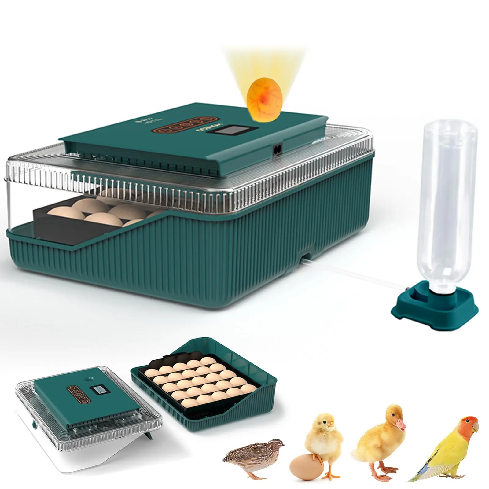 25-egg-incubator-for-hatching-chicks-with-automatic-egg-turner-pro-humidity-display-egg-candler-and-day-tractor-for-chicken